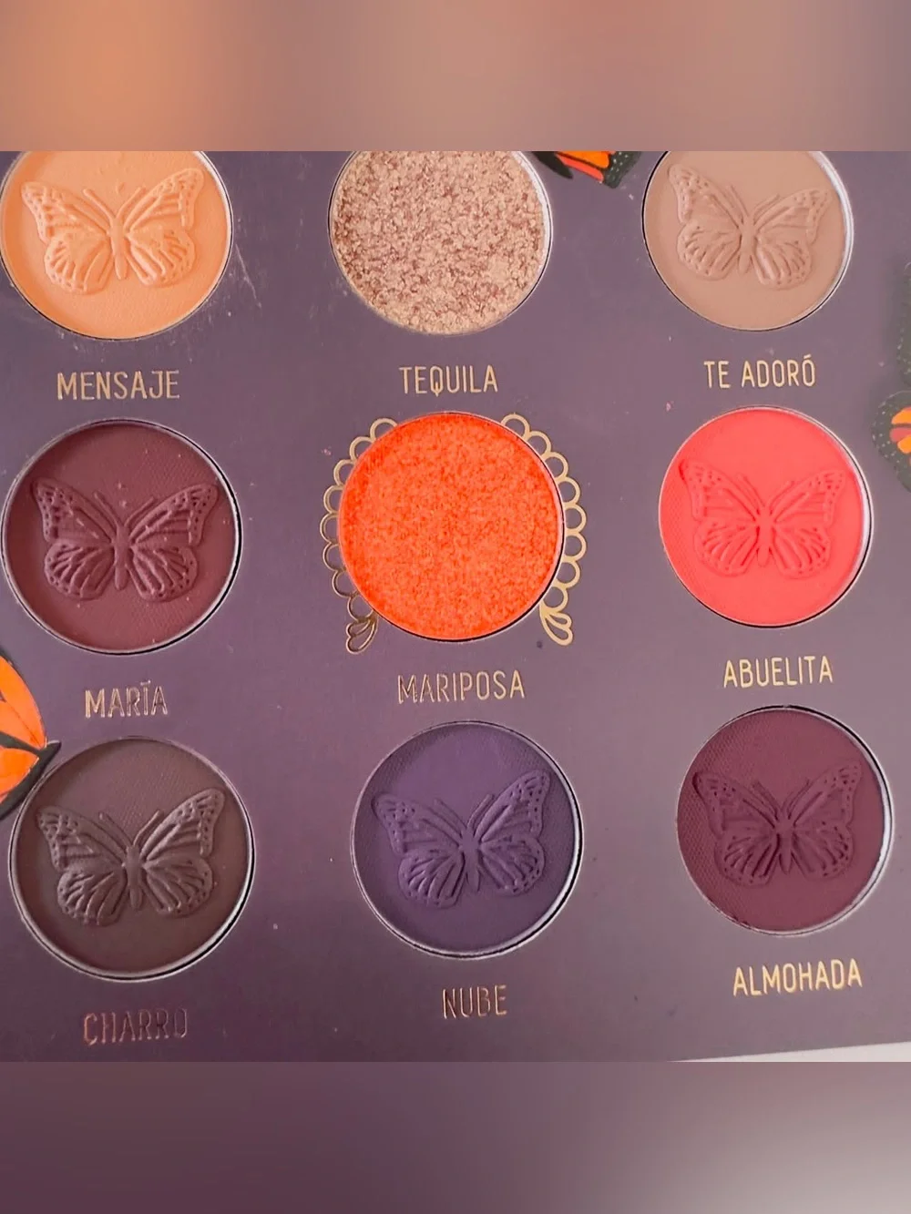 Melt Cosmetics title melt